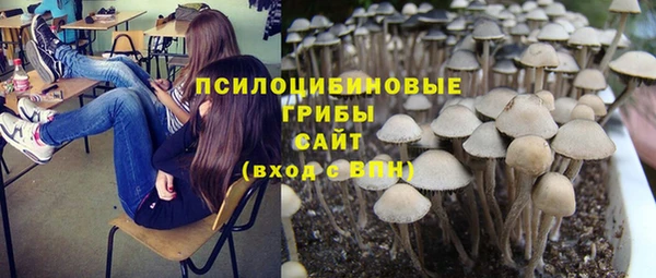 не бодяженный Краснотурьинск
