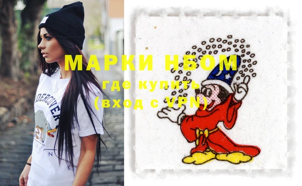 мдпв Лагань