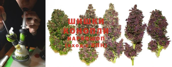 СК Мегион