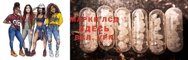 сатива Липки