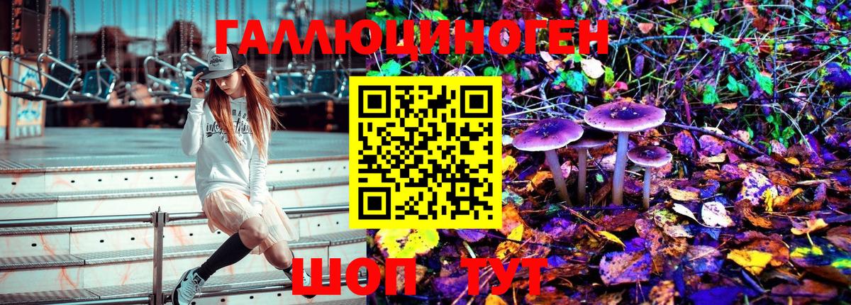 Галлюциногенные грибы Cubensis  Сосновоборск 