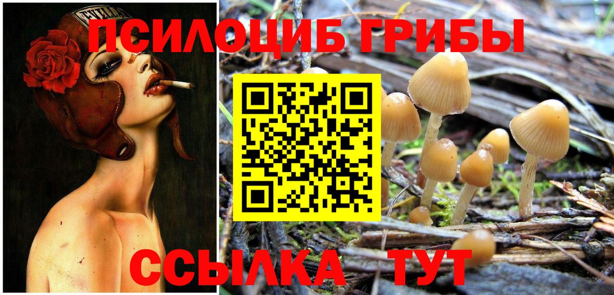 Псилоцибиновые грибы MAGIC MUSHROOMS Сосновоборск
