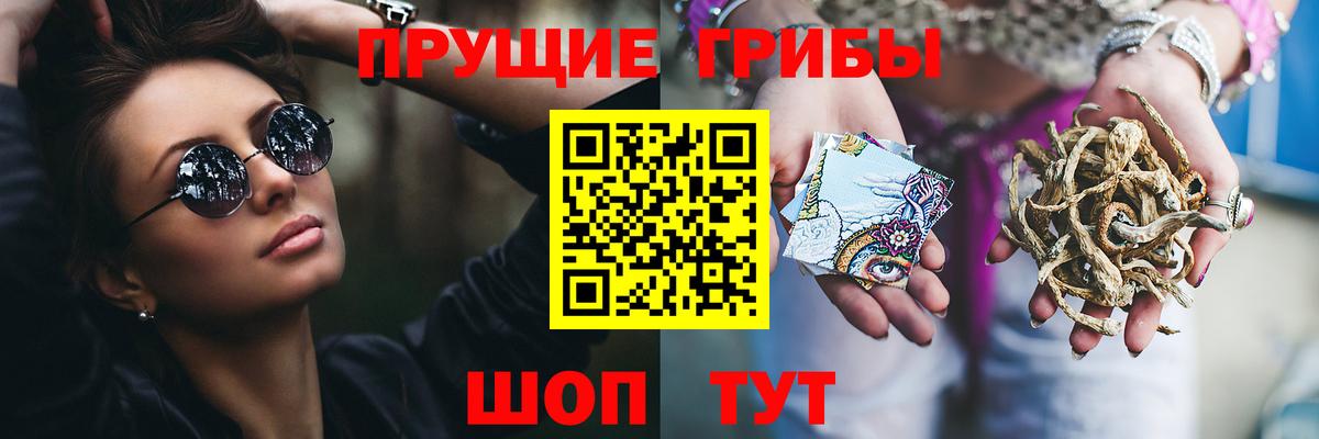 Сосновоборск  Псилоцибиновые грибы мухоморы  Вход с VPN 